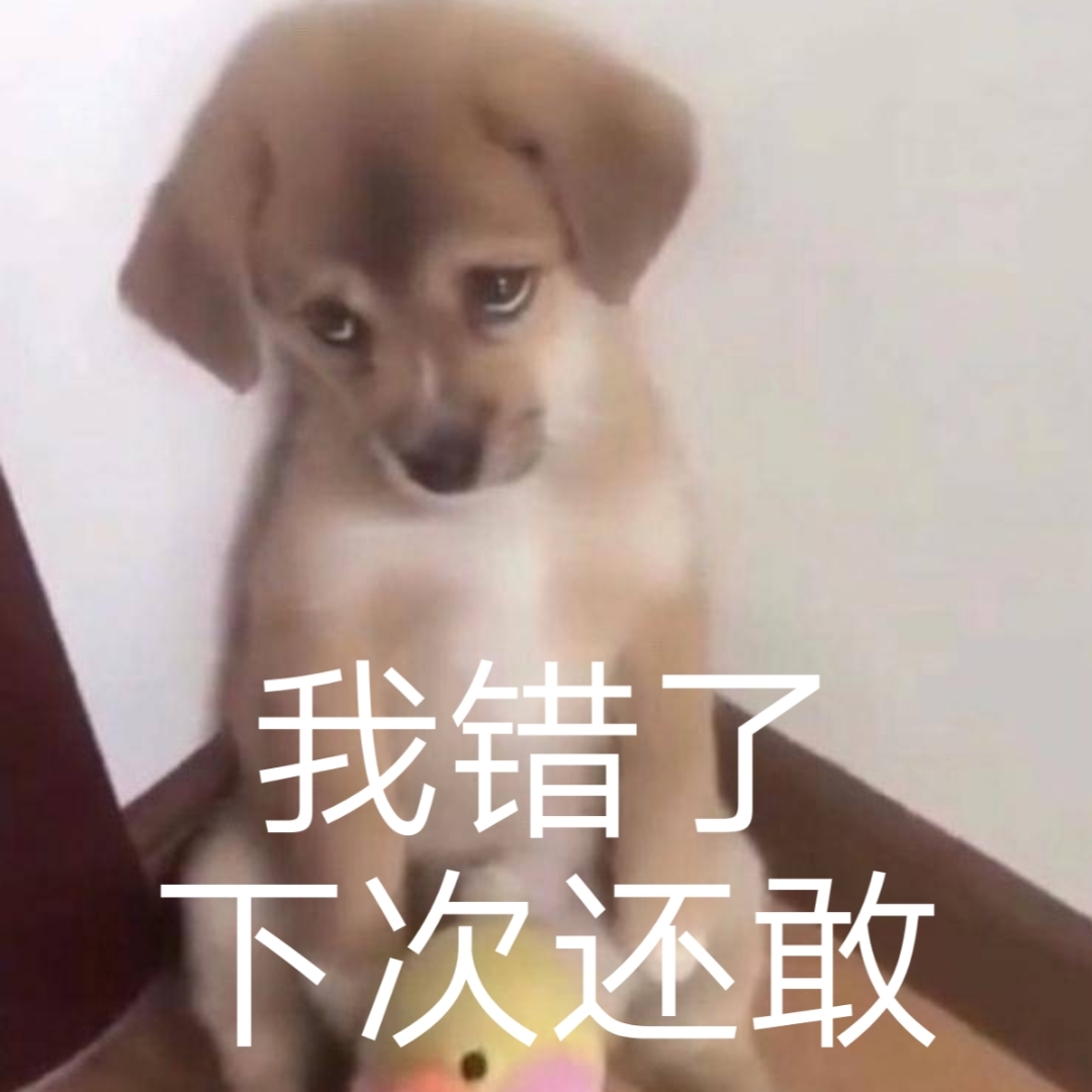 我错了下次还敢爱斗图gif搞笑图片