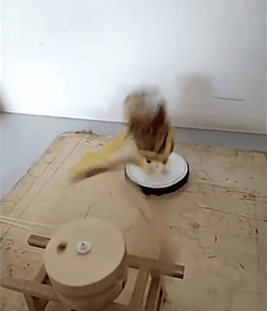 磨豆子爱斗图gif搞笑图片