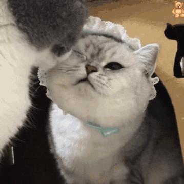 亲亲我的宝贝GIF爱斗图gif搞笑图片