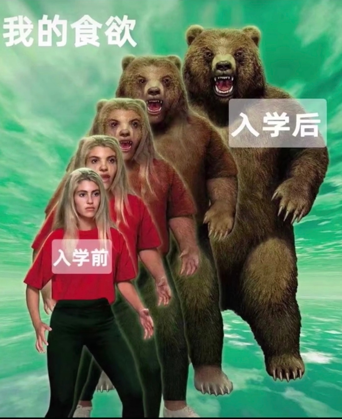 我的食欲入学后入学前爱斗图gif搞笑图片