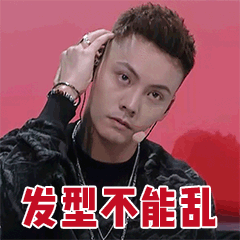 发型不能乱爱斗图gif搞笑图片