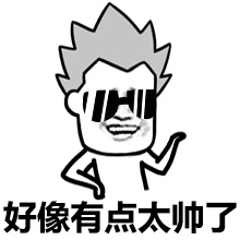 好像有点太帅了爱斗图gif搞笑图片