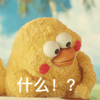 什么？！爱斗图gif搞笑图片