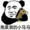 抱紧我的小马马（沙雕马）爱斗图gif搞笑图片