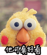 他可真好看爱斗图gif搞笑图片