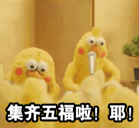 集齐五福啦！耶！爱斗图gif搞笑图片