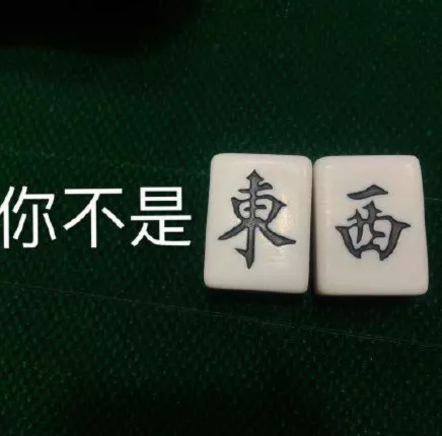 你不是东西（麻将表情包）爱斗图gif搞笑图片