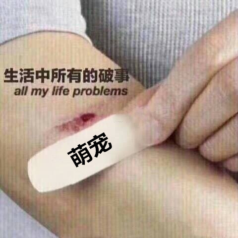 面对生活中所有的破事，靠萌宠治愈爱斗图gif搞笑图片