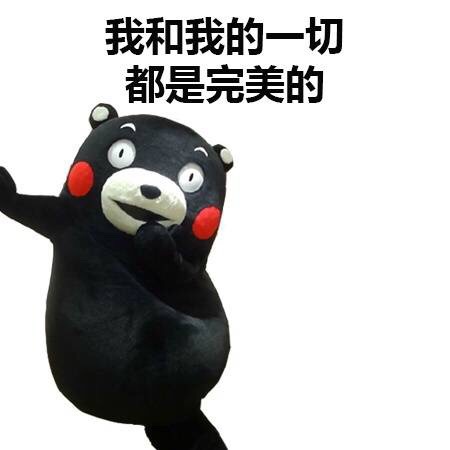 我和我的一切都是完美的爱斗图gif搞笑图片