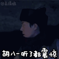 胡八一听了都震惊爱斗图gif搞笑图片