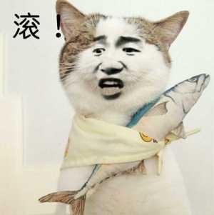 滚爱斗图gif搞笑图片