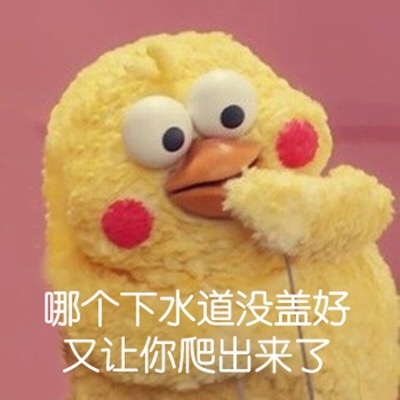 哪个下水道没盖好，又让你爬出来了爱斗图gif搞笑图片