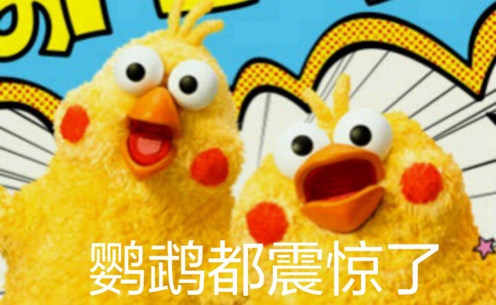 鹦鹉都震惊了爱斗图gif搞笑图片