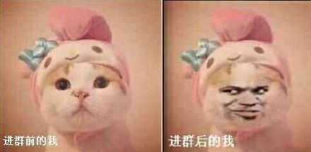 进群前的我，进群后的我爱斗图gif搞笑图片