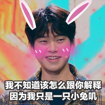 我不知道该怎么跟你解释，因为我只是一只小兔叽爱斗图gif搞笑图片