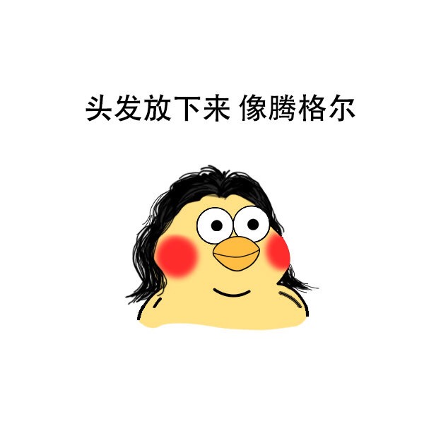 头发放下来像腾格尔爱斗图gif搞笑图片