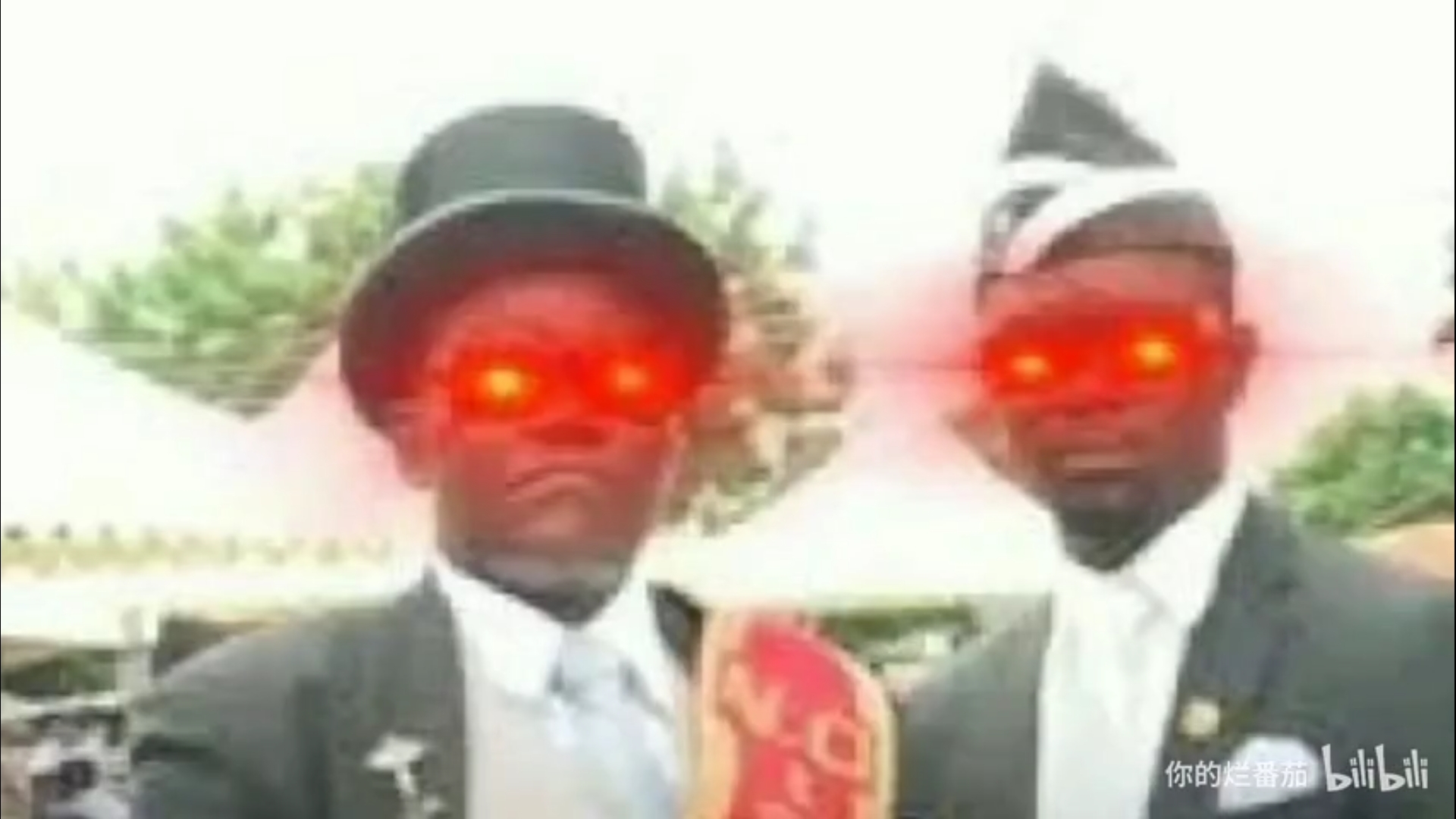 凝视爱斗图gif搞笑图片