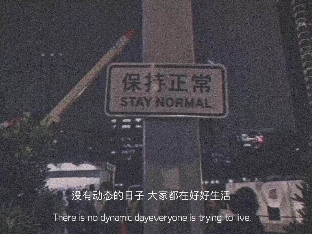 保持正常STAYNORMAL 没有动态的日子大家都在好好生活There is no dynamic dayeveryone is trying to live爱斗图gif搞笑图片