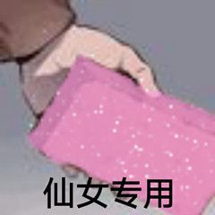 仙女专用砖头爱斗图gif搞笑图片