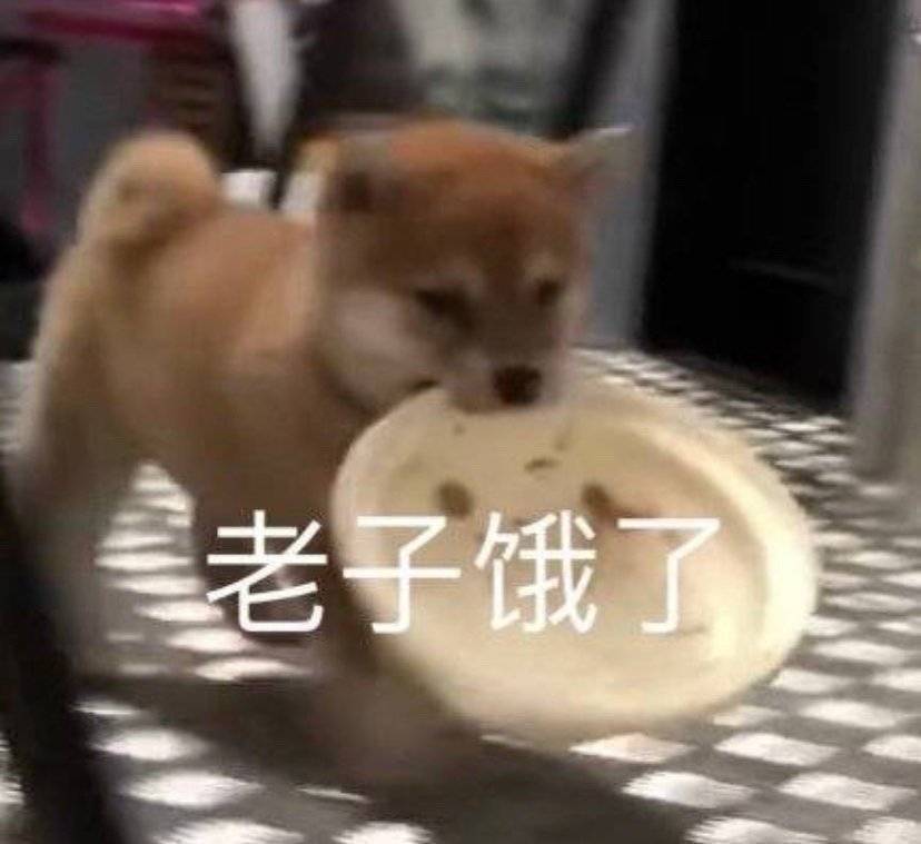 老子饿了（汪星人表情包）爱斗图gif搞笑图片