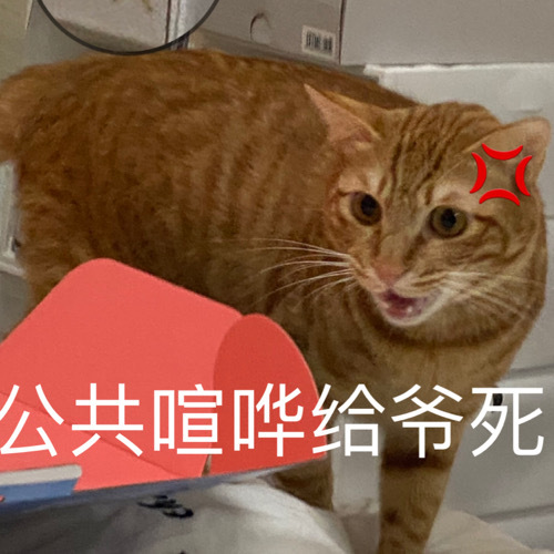 公共喧哗给爷死爱斗图gif搞笑图片