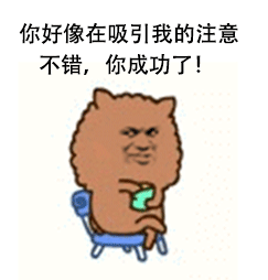 你好像在吸引我的注意不错，你成功了！爱斗图gif搞笑图片