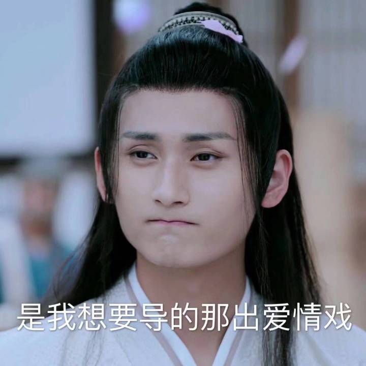 是我想要导的那出爱情戏（陈情令）爱斗图gif搞笑图片