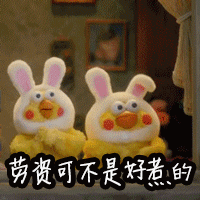 劳资可不是好惹的爱斗图gif搞笑图片