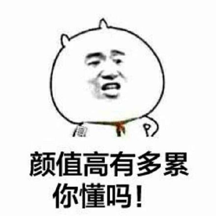 颜值高有多累，你懂吗？爱斗图gif搞笑图片