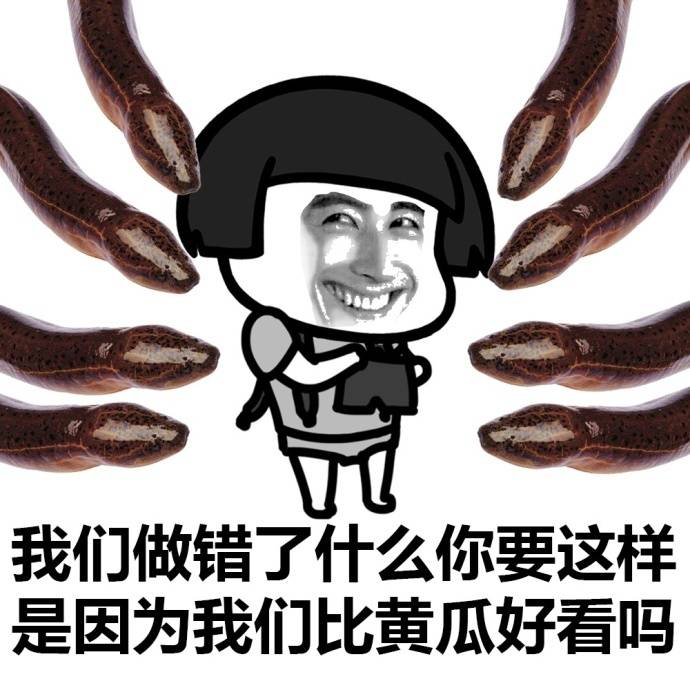 我们做错了什么你要这样，是因为我们比黄瓜好看吗爱斗图gif搞笑图片