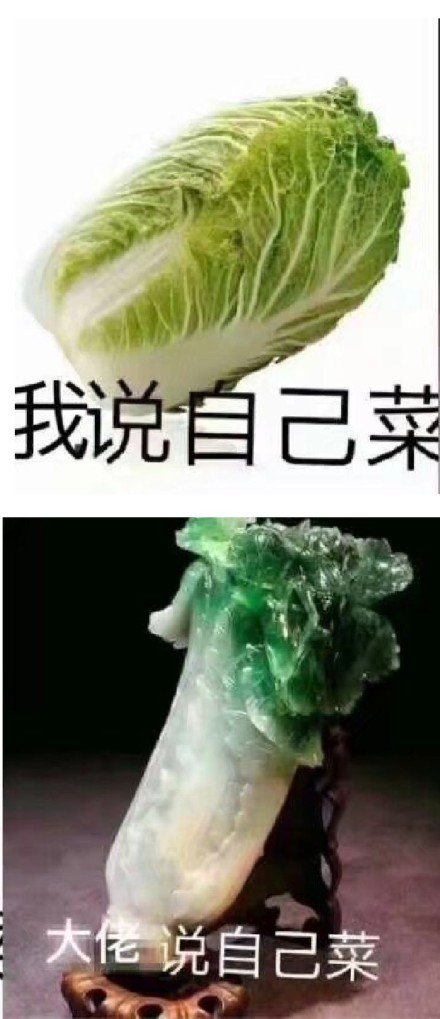 我说自己菜 大佬说自己菜爱斗图gif搞笑图片