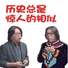 惊人的相似爱斗图gif搞笑图片