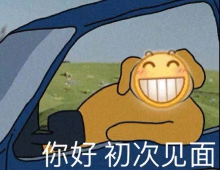 你好初次见面爱斗图gif搞笑图片