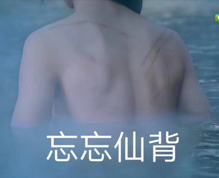 忘忘仙背（陈情令）爱斗图gif搞笑图片