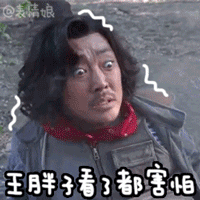 王胖子看了都害怕爱斗图gif搞笑图片