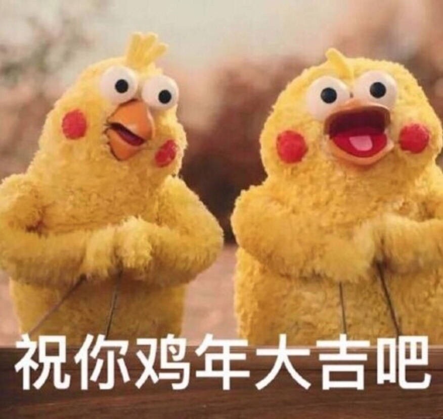 鹦鹉兄弟版祝你鸡年大吉吧爱斗图gif搞笑图片