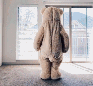 小熊跳舞爱斗图gif搞笑图片