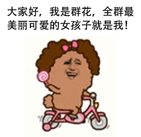 大家好，我是群花，全群最美丽可爱的女孩子就是我！爱斗图gif搞笑图片