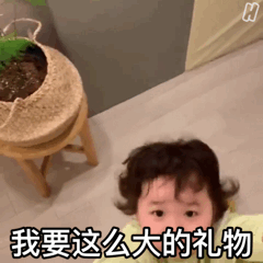 我要这么大的礼物爱斗图gif搞笑图片