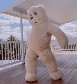 小熊跳舞GIF爱斗图gif搞笑图片