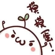 摸摸蛋！爱斗图gif搞笑图片