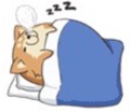 睡觉觉爱斗图gif搞笑图片