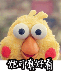 她可真好看爱斗图gif搞笑图片