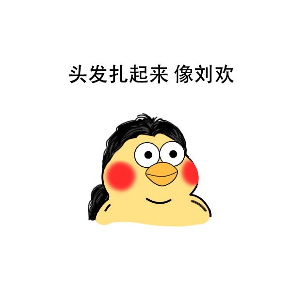 头发扎起来像刘欢爱斗图gif搞笑图片