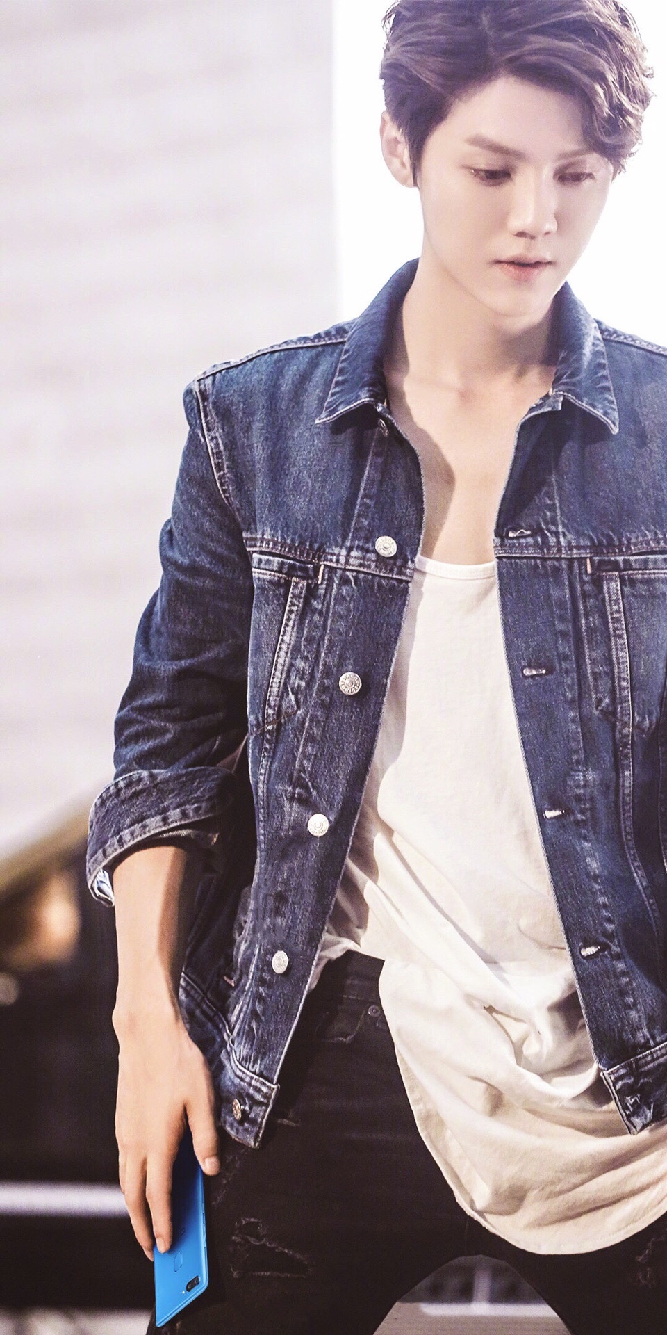 鹿晗壁纸爱斗图gif搞笑图片