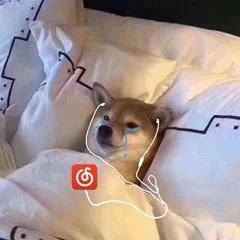 汪星人流泪听网易云音乐爱斗图gif搞笑图片