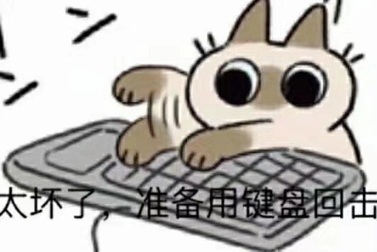 坏准备用键回击爱斗图gif搞笑图片