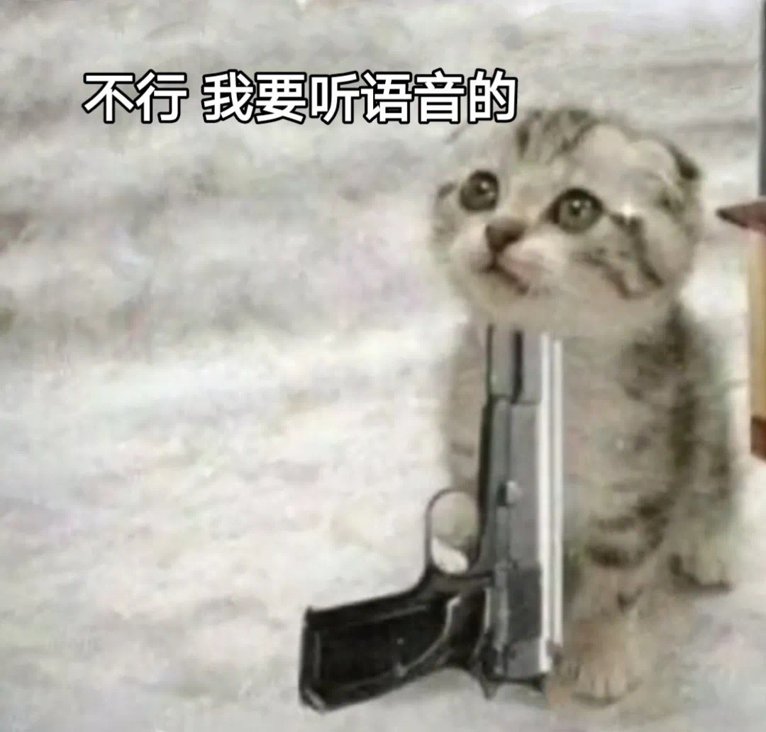 不行我要听语音的爱斗图gif搞笑图片