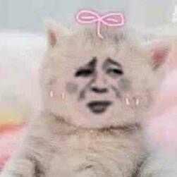 魔性变脸猫爱斗图gif搞笑图片