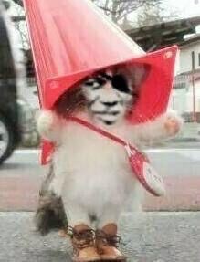 魔性变脸猫戴帽子爱斗图gif搞笑图片